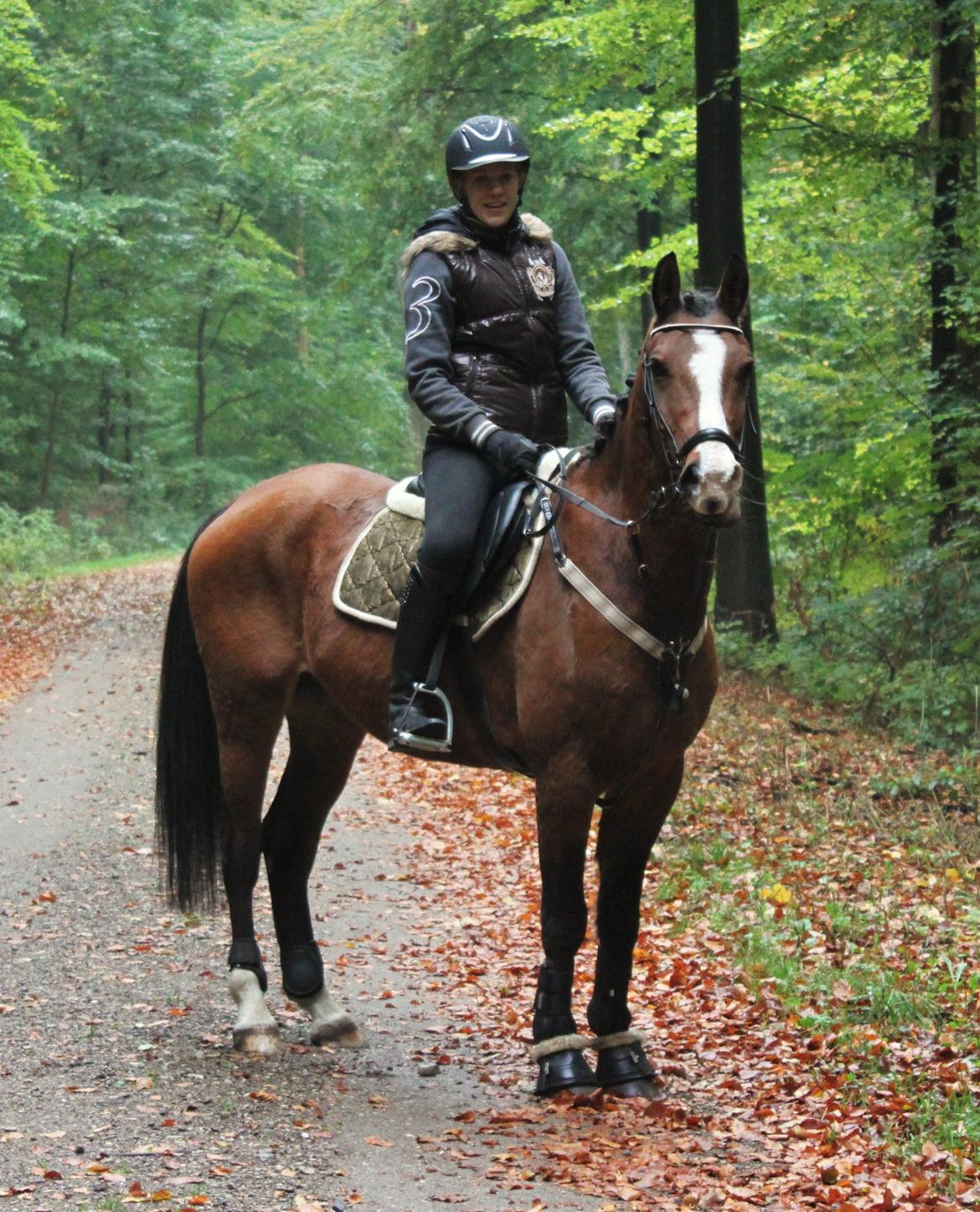 Anden særlig race Pedro El Valentino [Pede] - En dejlig tur i skoven en herlig efterårsdag! foto: Min far billede 15