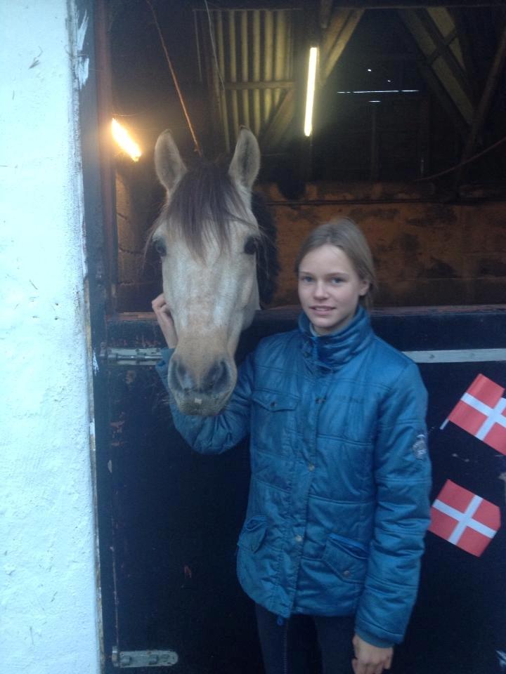 Anden særlig race Vangshøjs Baily <3 B-PONY - Baily og hans nye ejer Amalie <3 billede 19