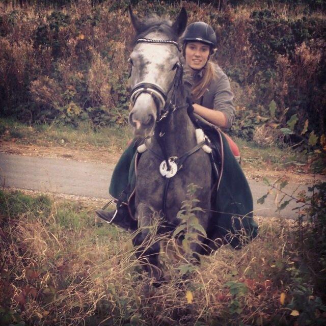 Anden særlig race Bækkeskovens Hurricane billede 6