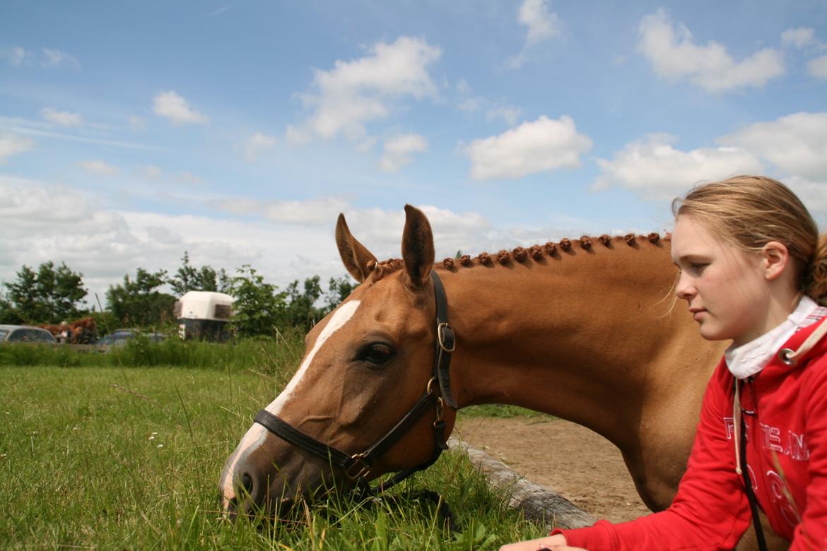 Anden særlig race Calibra - Stævne i Thorsø, mit og Calibras første stævne sammen.
Foto Nathalia Eriksen billede 11