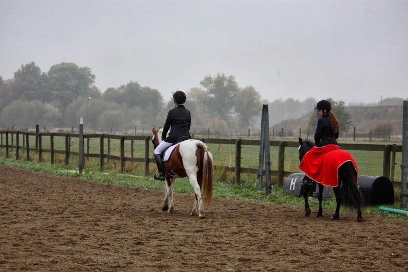 Anden særlig race Hollywood (Holly) - Opvarmning på HVR 13.10.2013  Foto: Andrea Marchsteiner billede 15