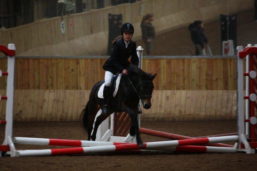 Anden særlig race Hollywood (Holly) - Springstævne på HVR d. 12.10.2013 Foto: Andrea Marchsteiner billede 14