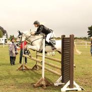 Anden særlig race Mirco