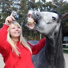 Anden særlig race Rolighedens Caruzo