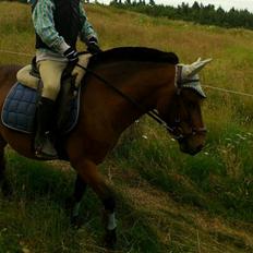 Anden særlig race Kalur