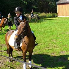 Anden særlig race Kalur