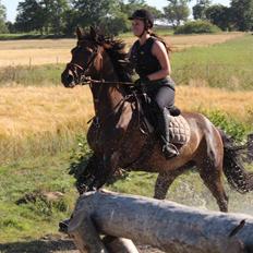 Anden særlig race Miss Fine Bine