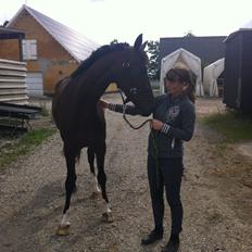 Westfaler Day of Glory