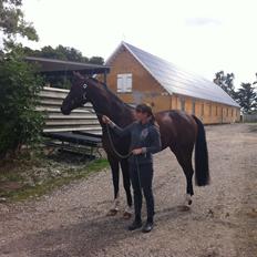 Westfaler Day of Glory