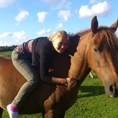 Anden særlig race Pugholm's Ferdinan