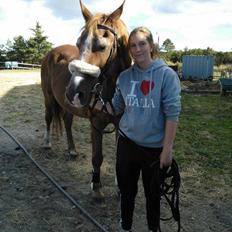 Anden særlig race Valentin