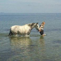 Anden særlig race • Lakota •