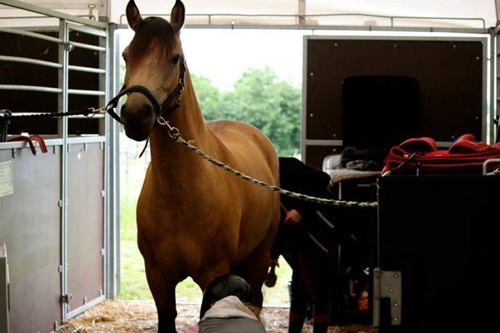 Connemara Skærgårdens Marvelous Night - Foto: Louise Tinghus billede 5