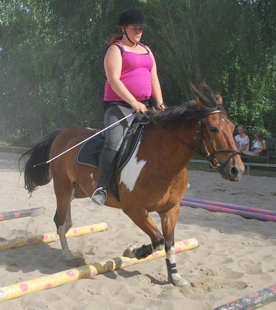 Anden særlig race Cally Bob billede 9
