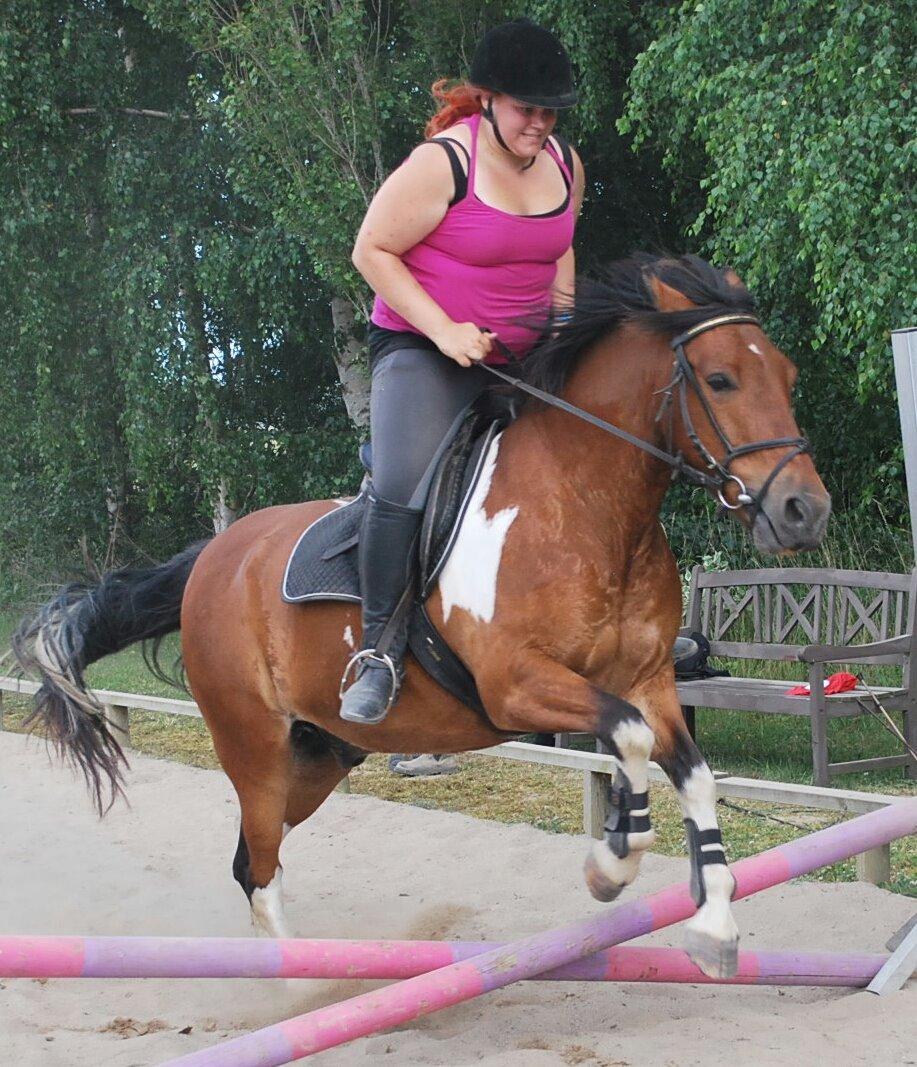 Anden særlig race Cally Bob billede 10