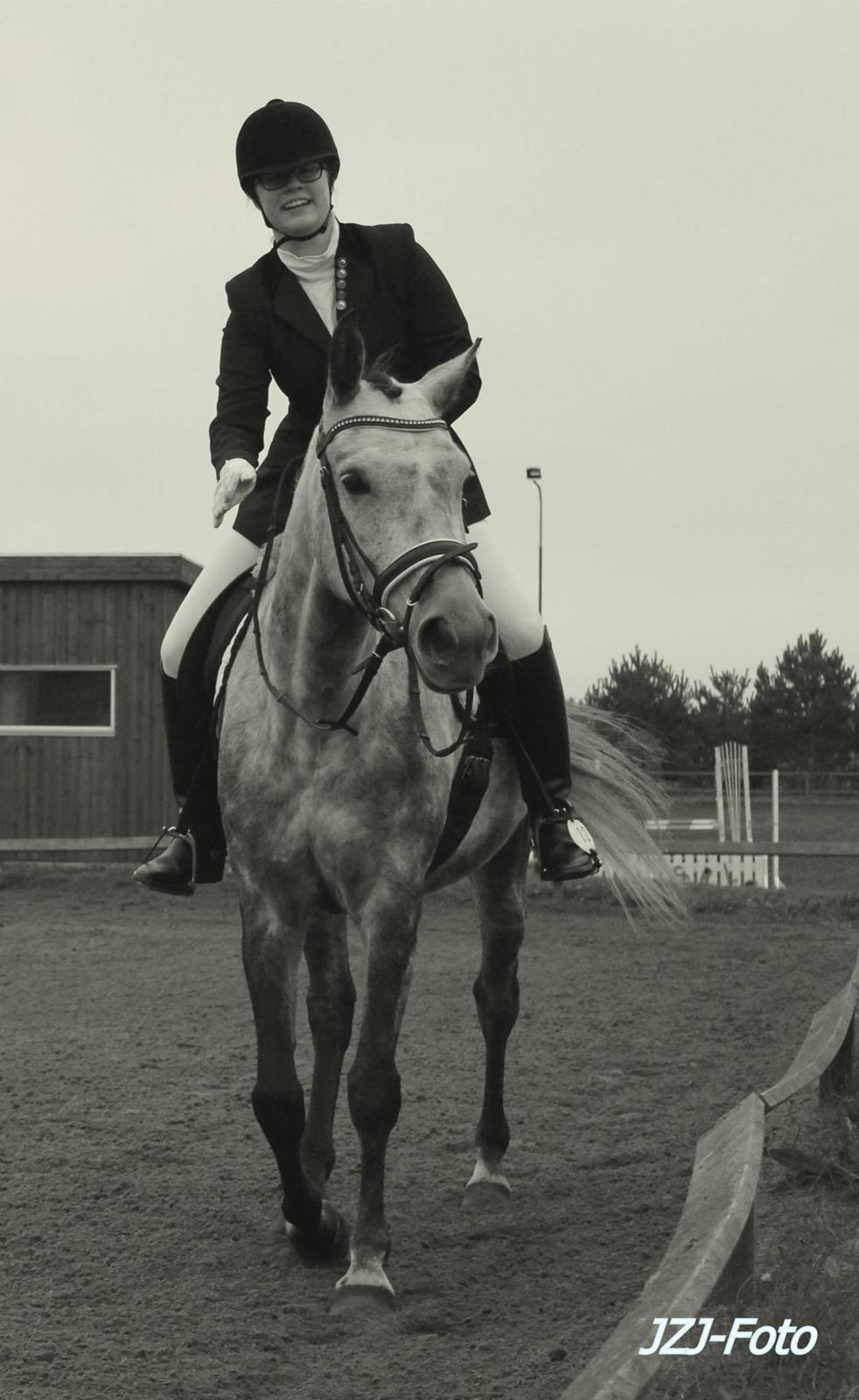 Sportsaraber (A) LOBERGS ARABIAN DACAPO - d. 13 oktober 2013, SRLA, Fotograf: Julie Z billede 2