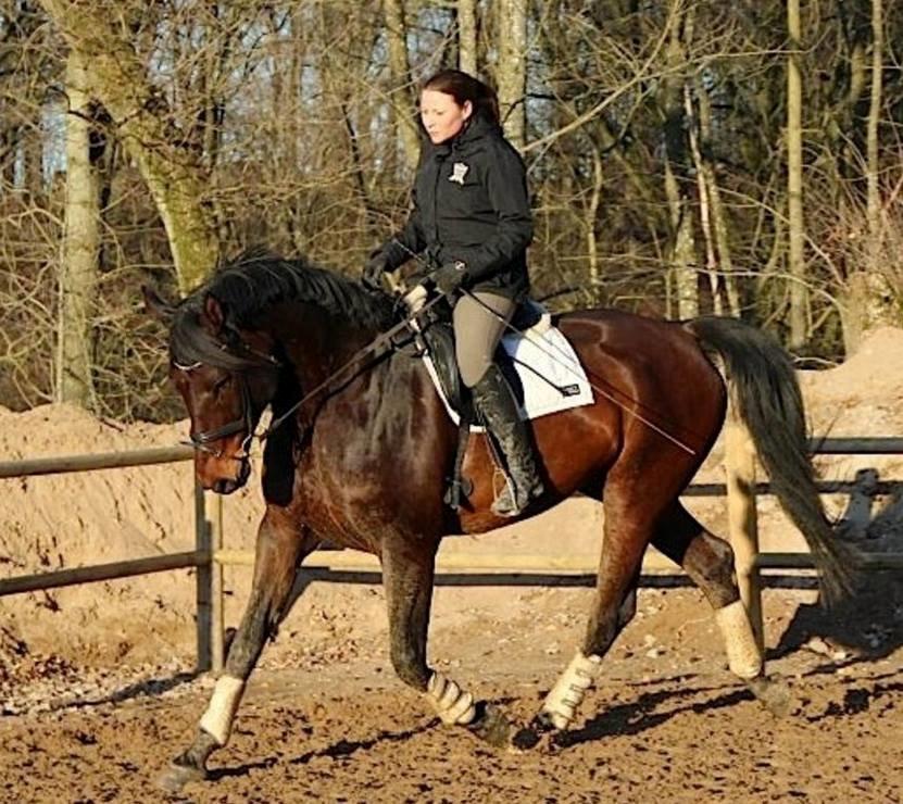 Oldenborg Bailey - Ann (fra Christianslund Ridecenter) og Bailey billede 4