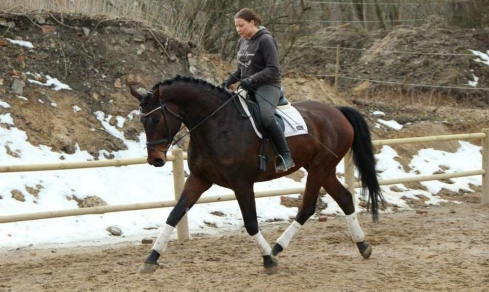 Oldenborg Bailey - Ann (fra Christianslund Ridecenter) og Bailey billede 6