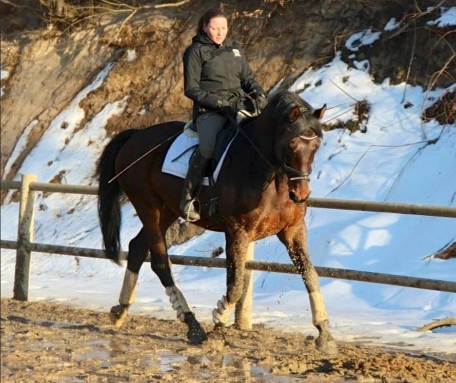 Oldenborg Bailey - Ann (fra Christianslund Ridecenter) og Bailey billede 7