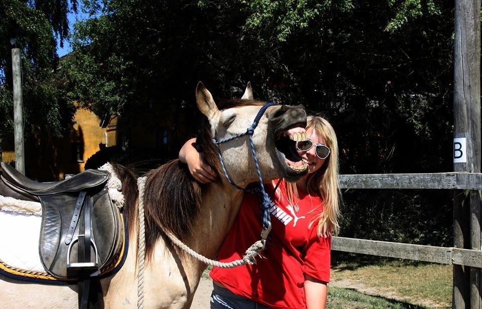 Anden særlig race Poppelgårdens Don billede 7