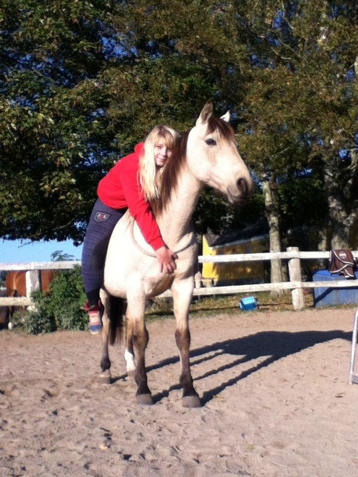 Anden særlig race Poppelgårdens Don billede 15