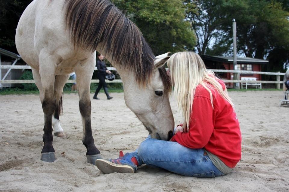Anden særlig race Poppelgårdens Don billede 16