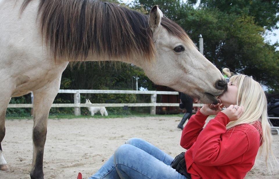 Anden særlig race Poppelgårdens Don billede 9
