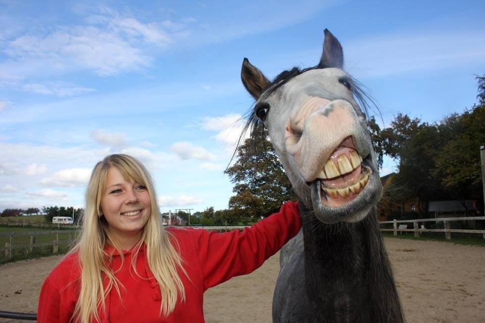 Anden særlig race Rolighedens Caruzo billede 17