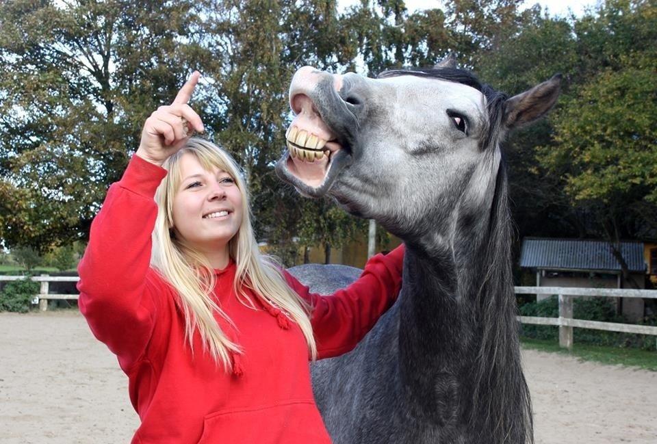 Anden særlig race Rolighedens Caruzo billede 2