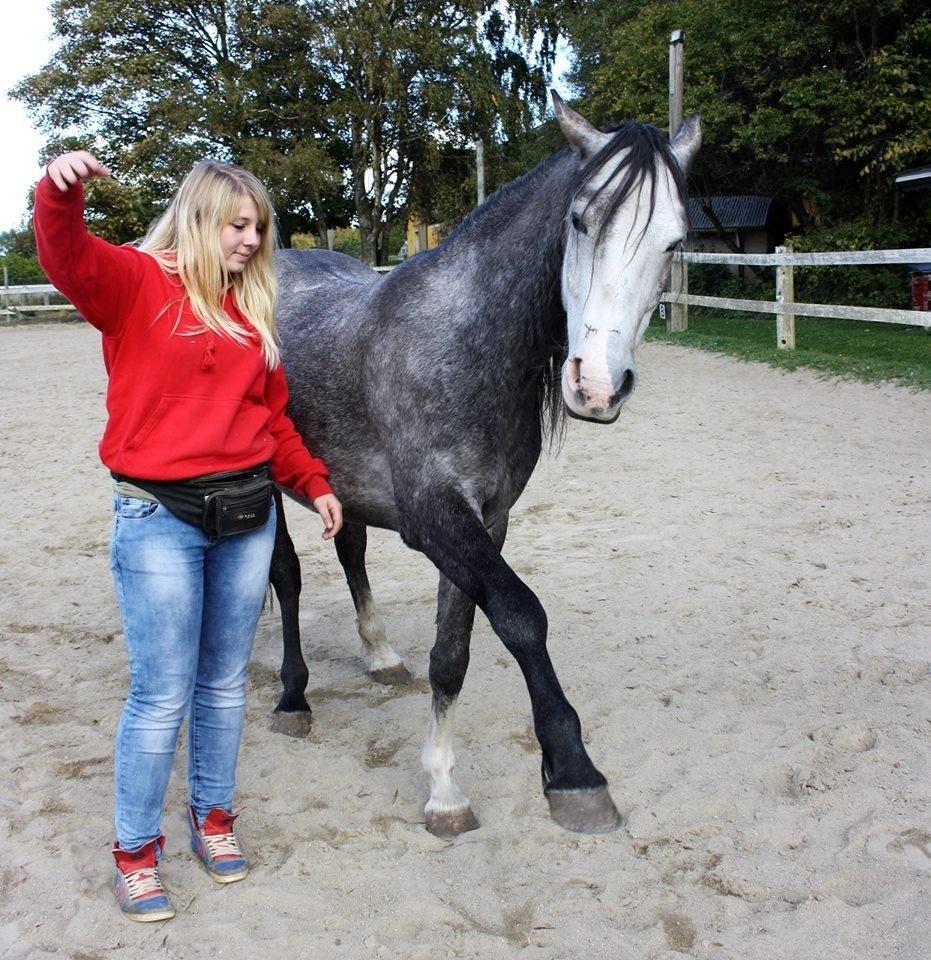 Anden særlig race Rolighedens Caruzo billede 12