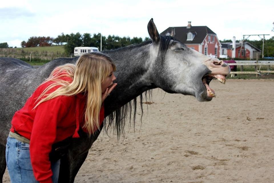 Anden særlig race Rolighedens Caruzo billede 6