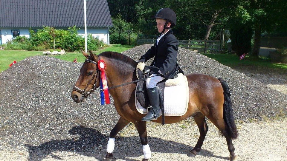 Anden særlig race Kalur - Bastian og Kalur med en fin rosette billede 1