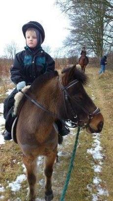 Anden særlig race Kalur - En kold vinter dag billede 5