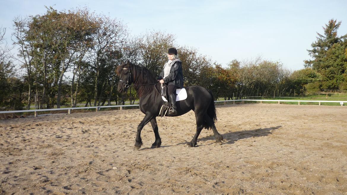 Frieser Doutzen . billede 14