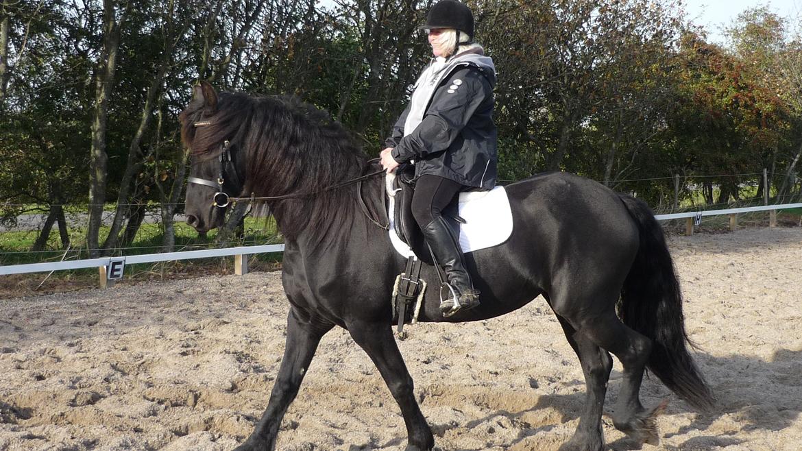 Frieser Doutzen . billede 16