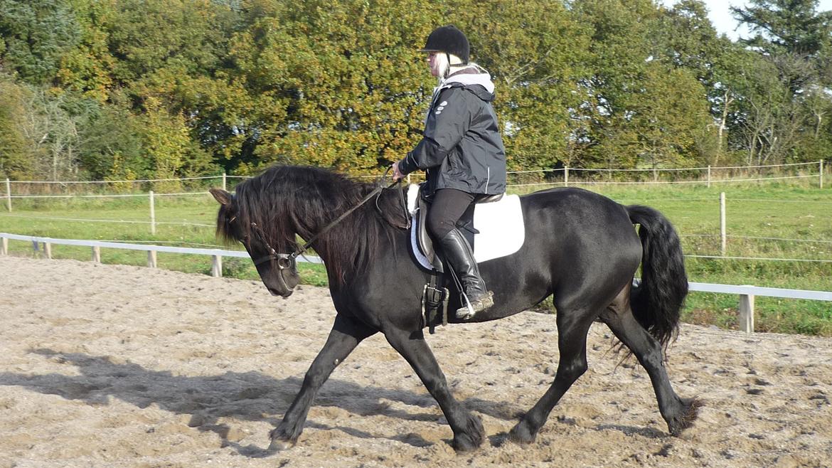 Frieser Doutzen . billede 18