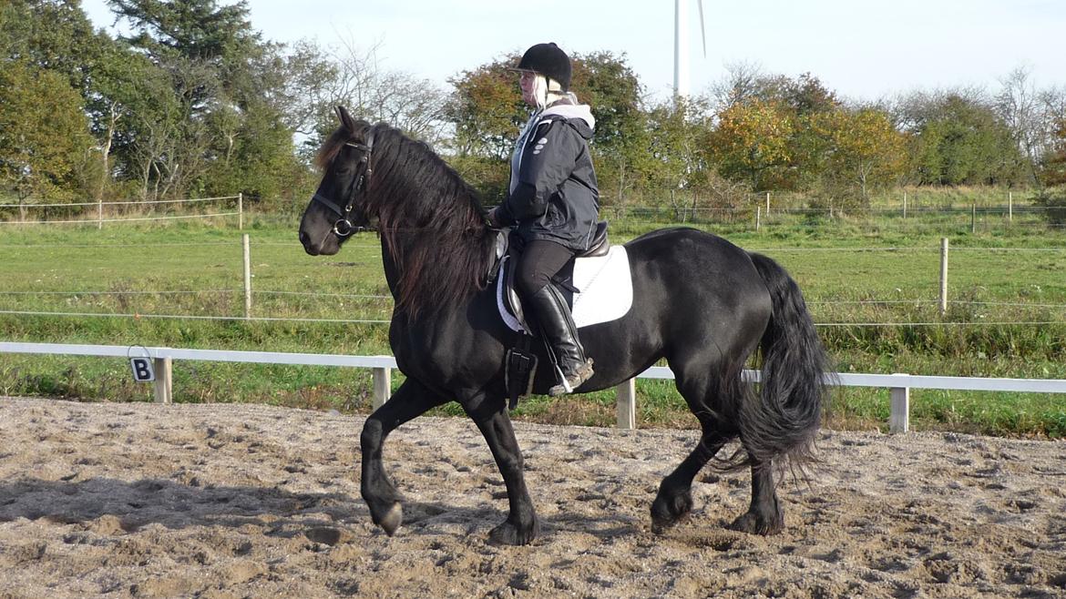 Frieser Doutzen . billede 19