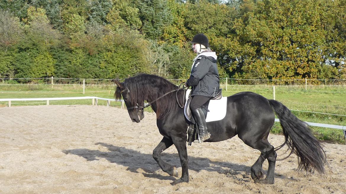 Frieser Doutzen . billede 20