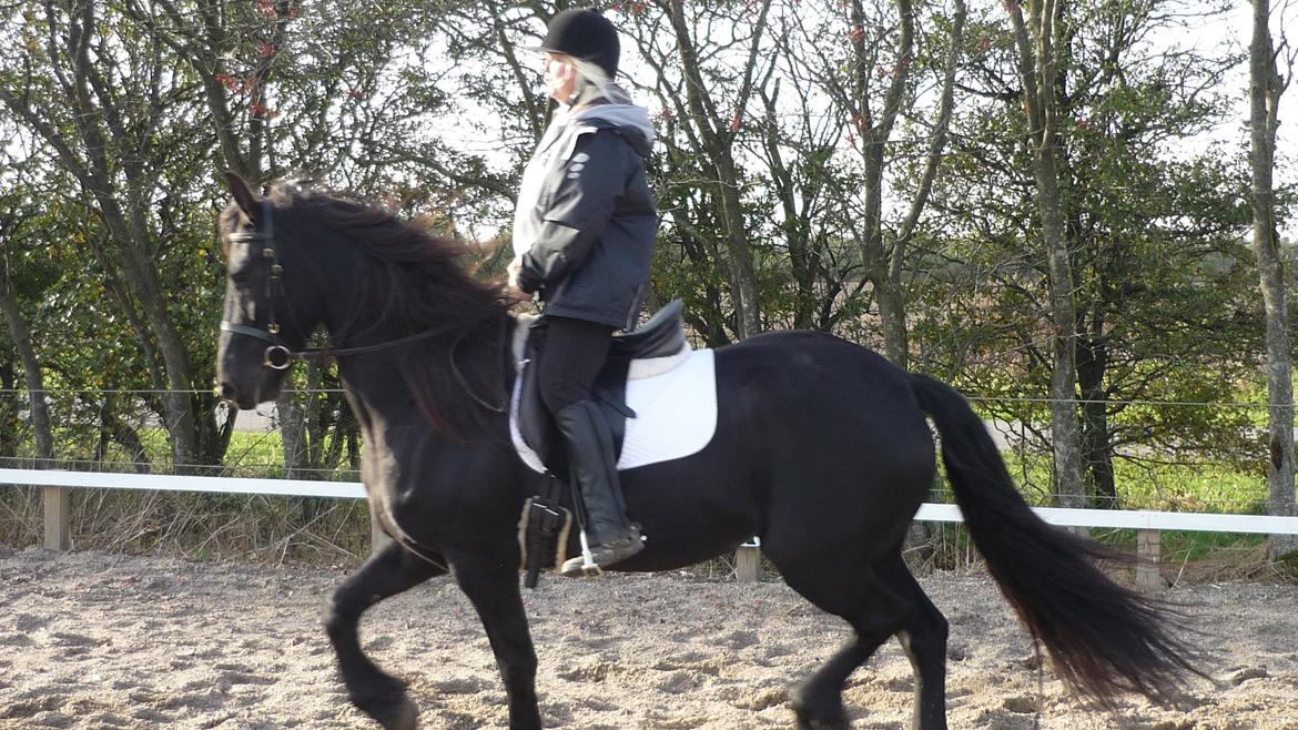 Frieser Doutzen . billede 21