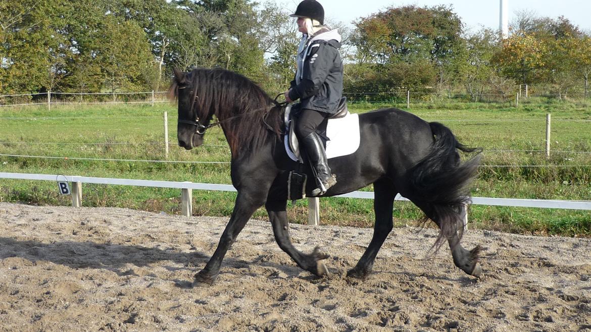 Frieser Doutzen . billede 22