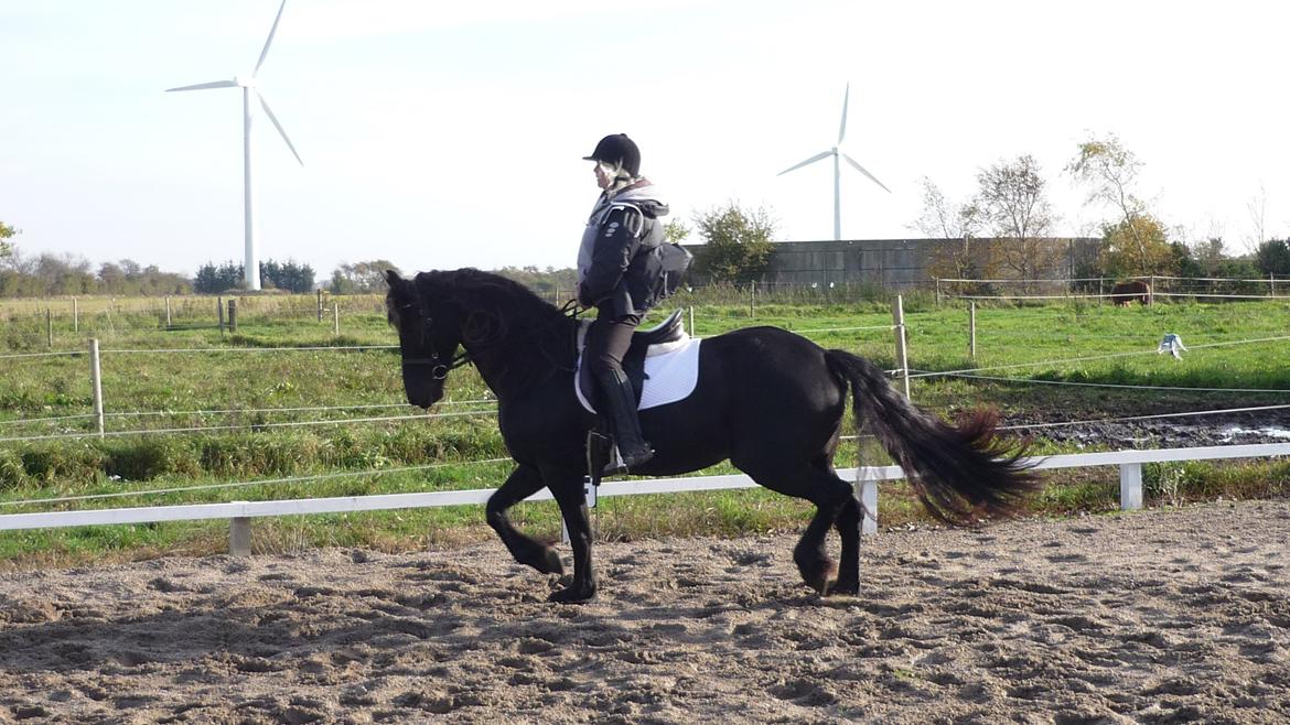 Frieser Doutzen . - Smil, alt for korte bøjler . billede 23