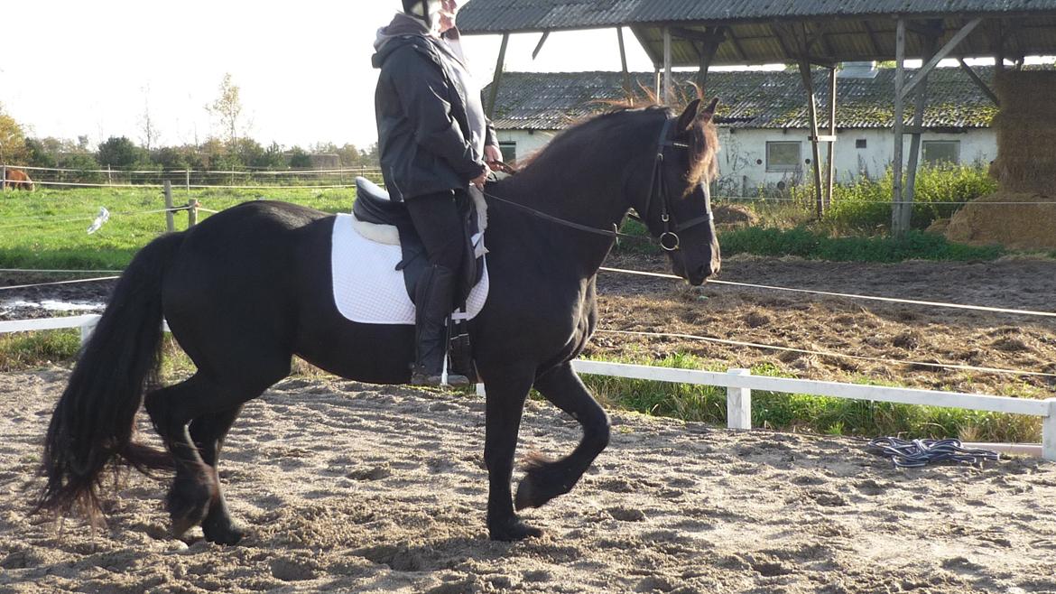 Frieser Doutzen . billede 24