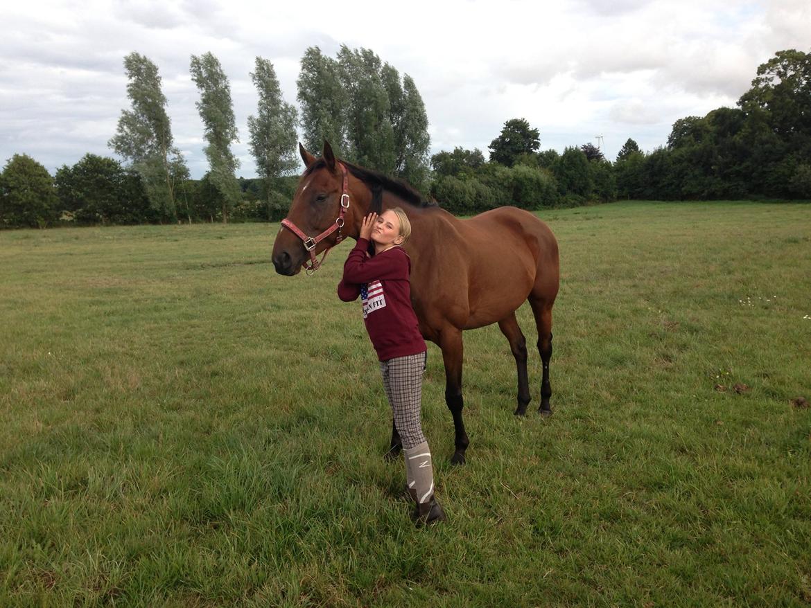 Fuldblod (XX) Bon Easter (Tidl. Hest) billede 4