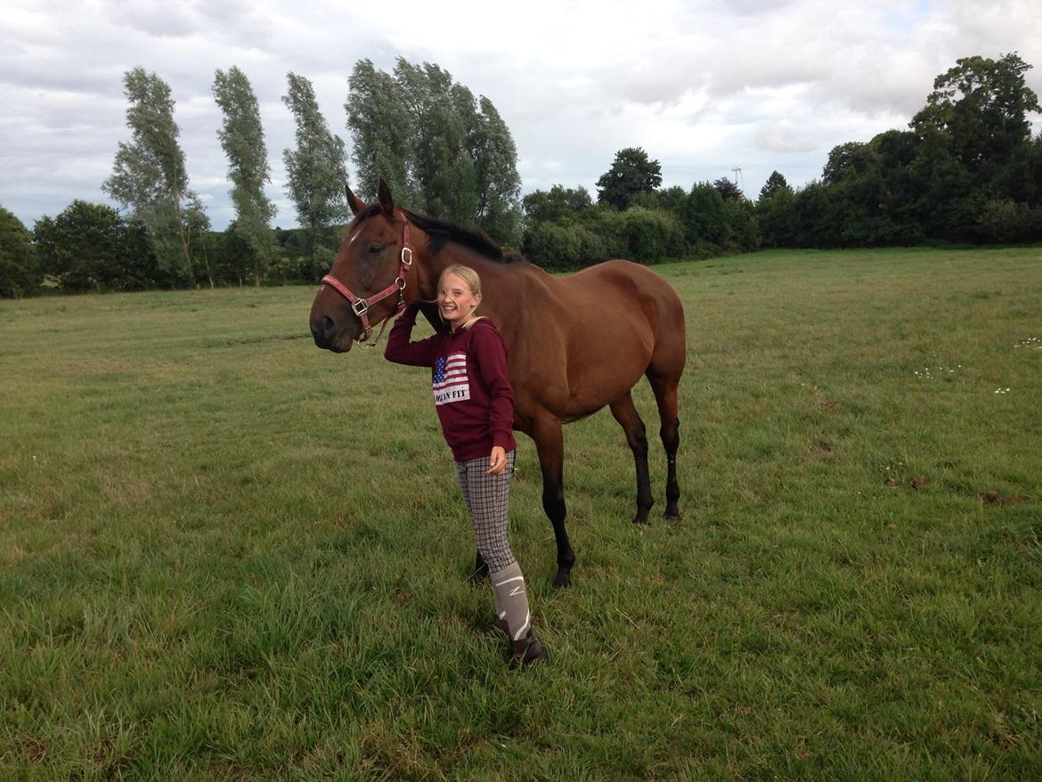 Fuldblod (XX) Bon Easter (Tidl. Hest) billede 6