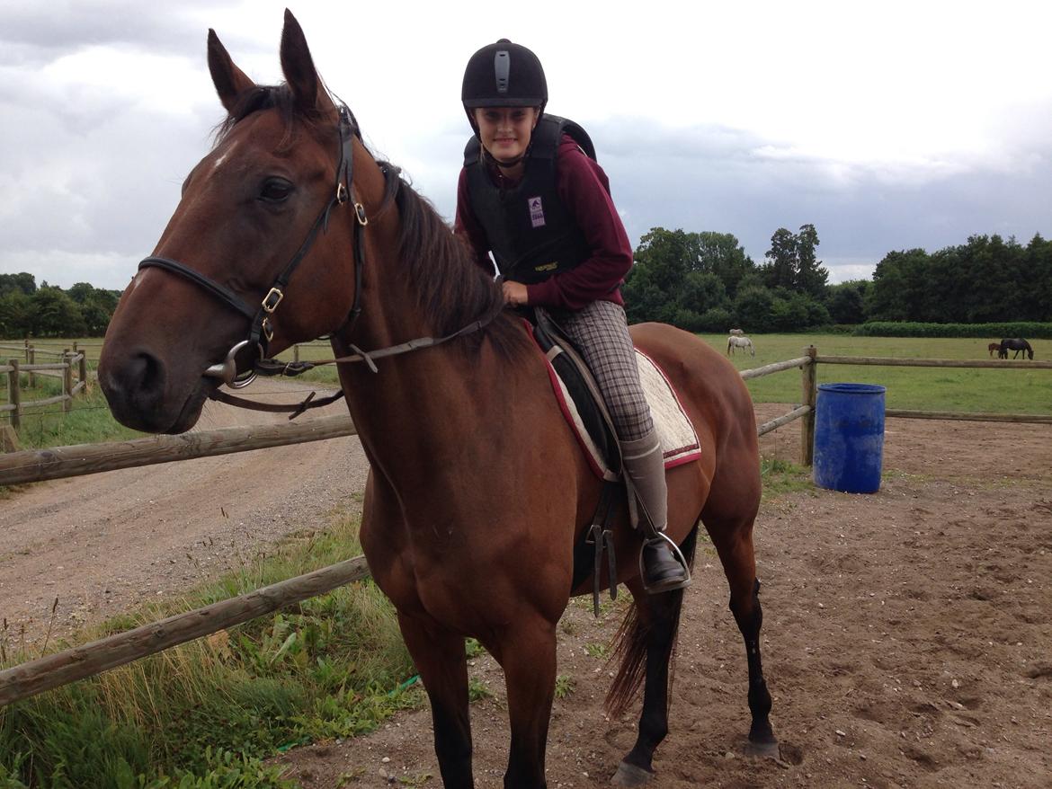 Fuldblod (XX) Bon Easter (Tidl. Hest) billede 7