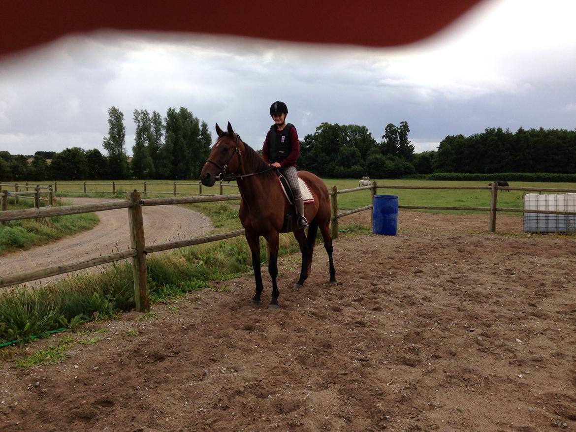 Fuldblod (XX) Bon Easter (Tidl. Hest) billede 8