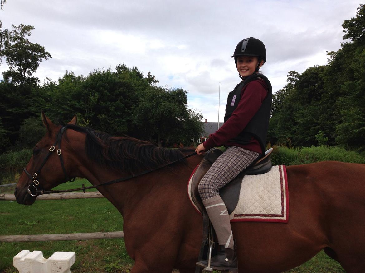 Fuldblod (XX) Bon Easter (Tidl. Hest) billede 10