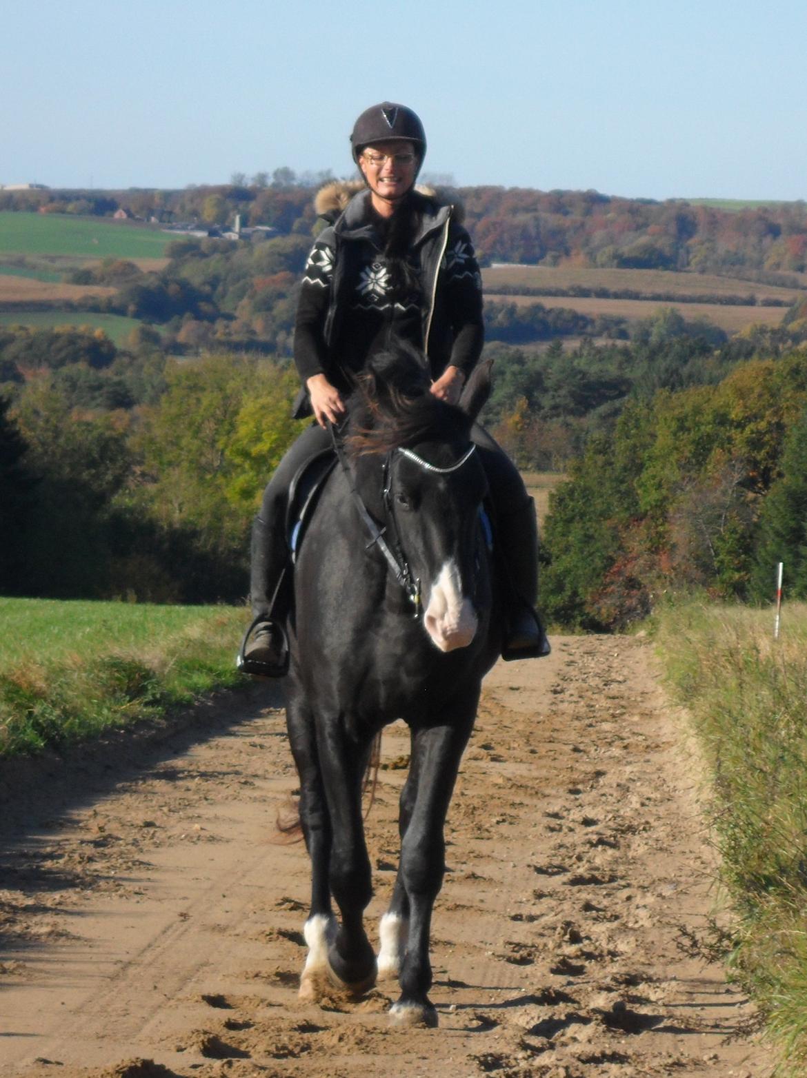 Anden særlig race Klitgaards Mr Big *R.I.P* - 18 oktober 2013, første tur siden ocd operationen <3 billede 22