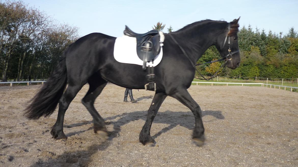 Frieser Doutzen . billede 26