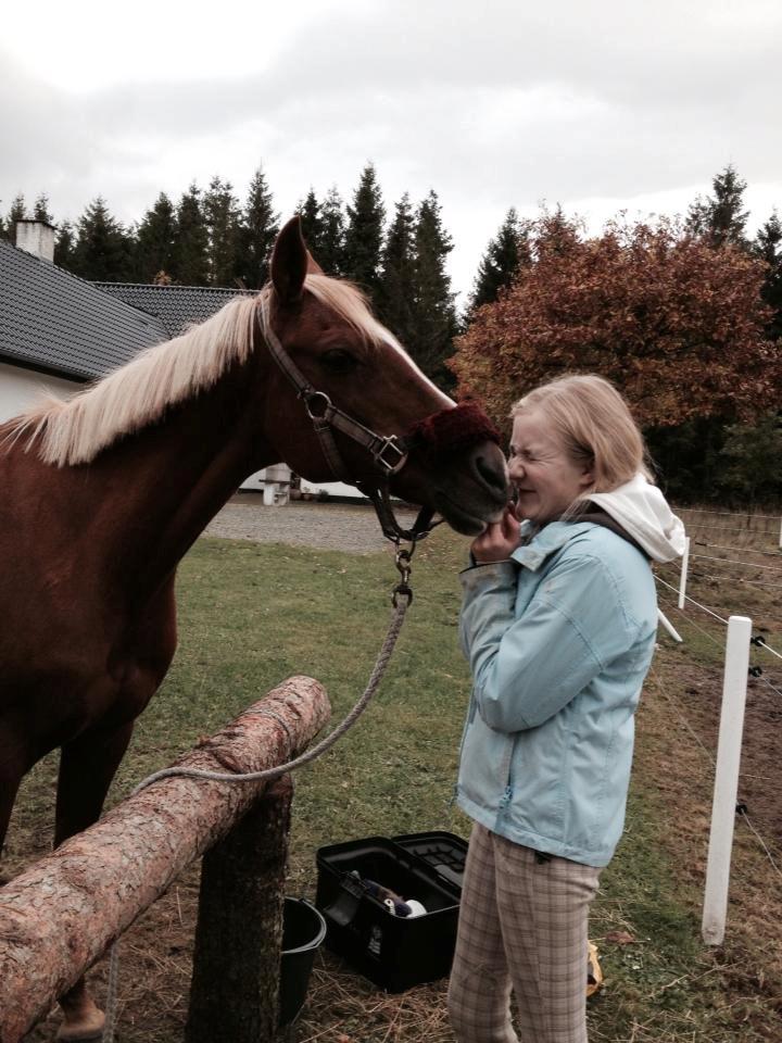 Hollandsk Sportspony Lucky ~ Min prinsesse <33 - "You're there for me when i'm sad" <3 billede 15